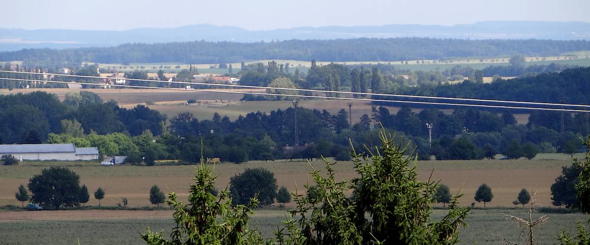 Polabská nížina