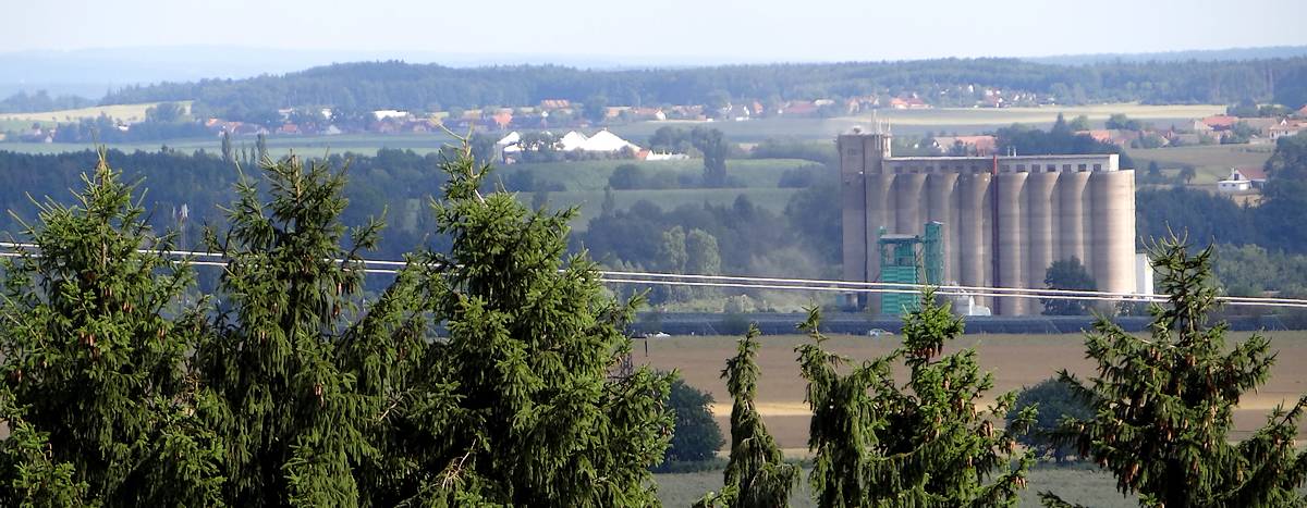 Polabská nížina