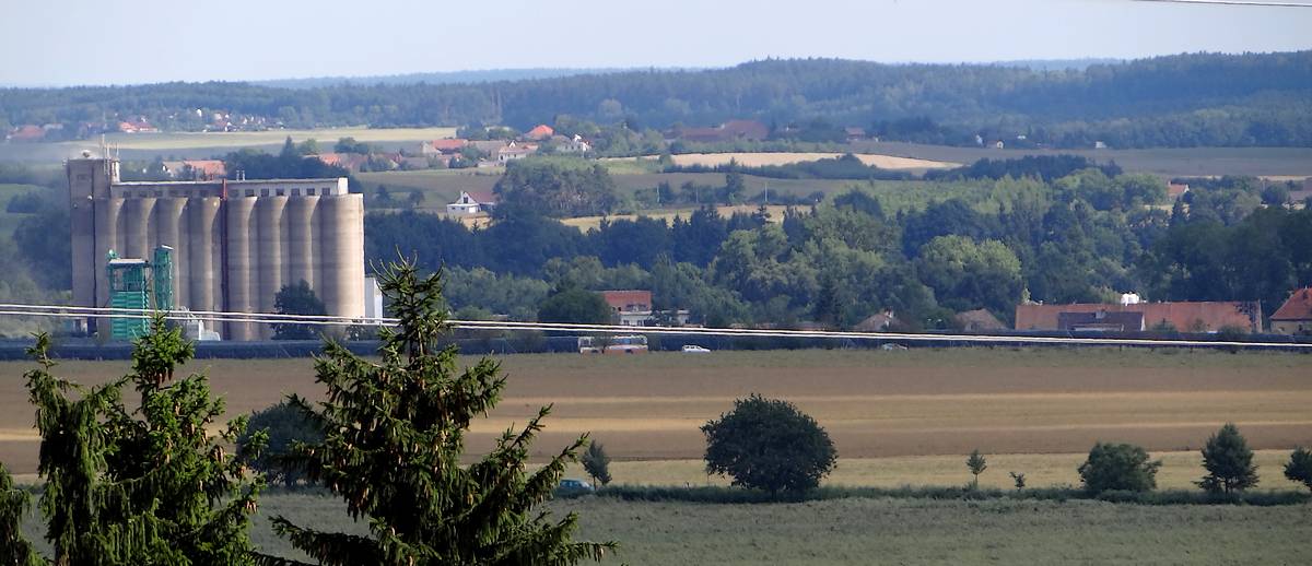 Polabská nížina