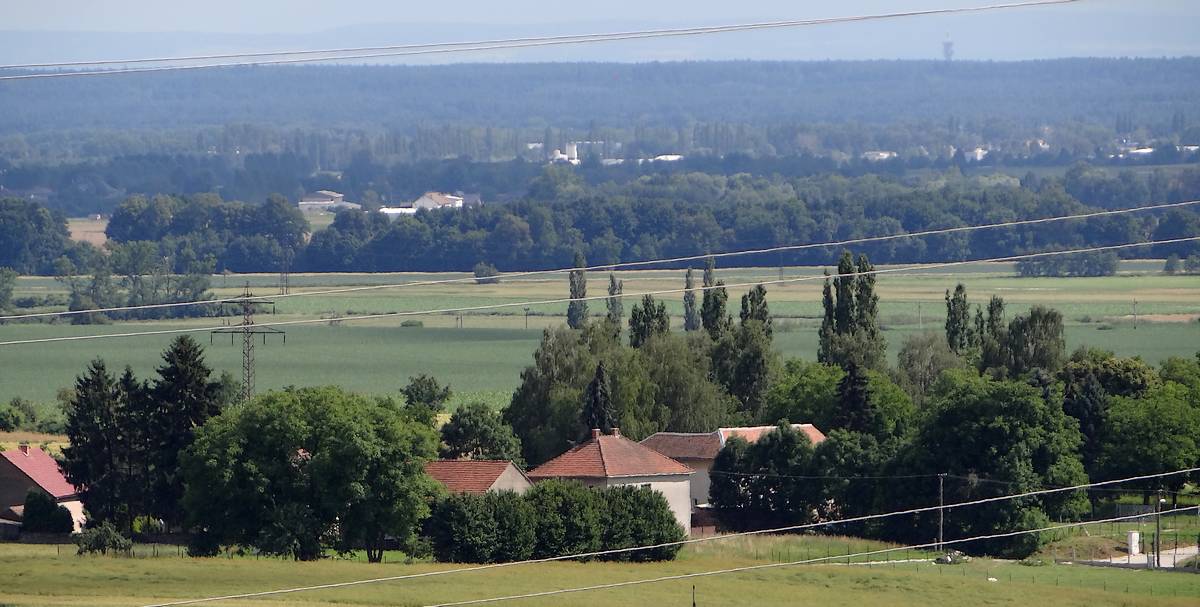 Polabská nížina