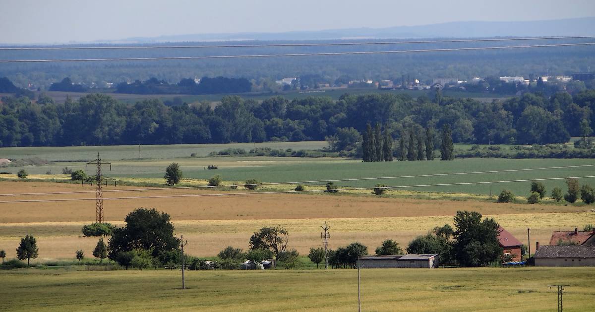 Polabská nížina