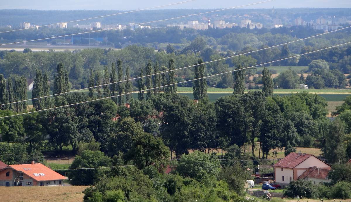 Polabská nížina