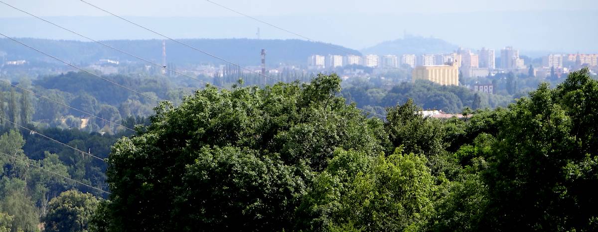 Polabská nížina