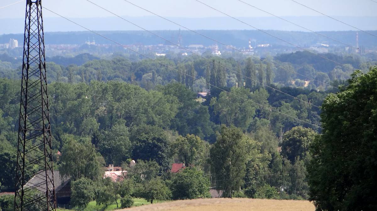 Polabská nížina
