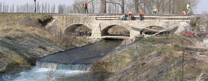 Trotina