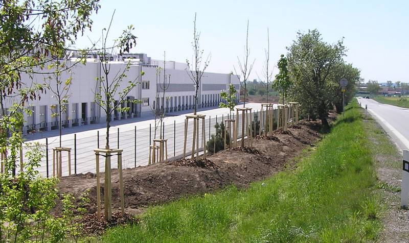 Zderaz