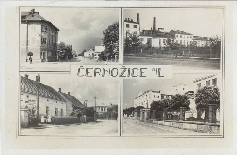 Černožice