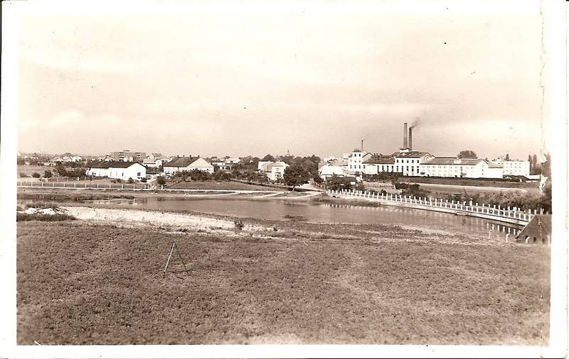 Černožice