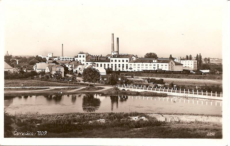 Černožice