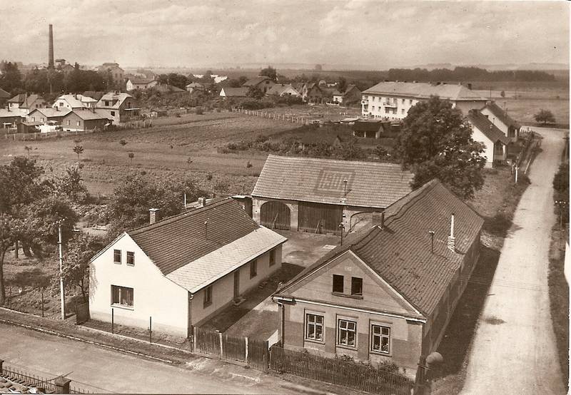 Černožice
