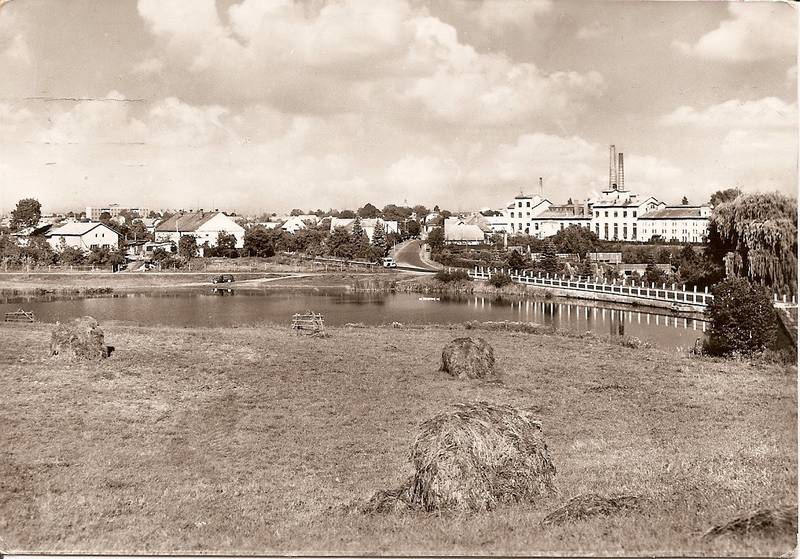 Černožice