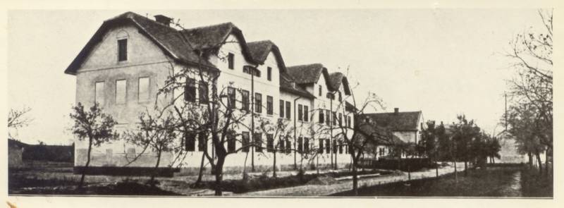 Černožice