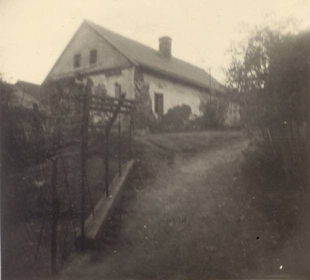 Černožice