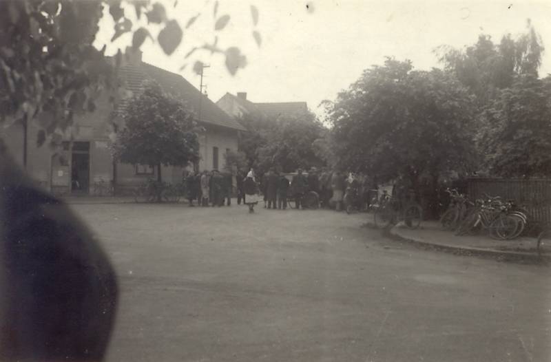 Černožice