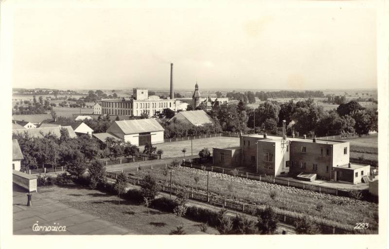 Černožice