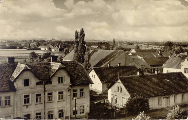 Černožice