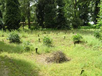 hřbitov