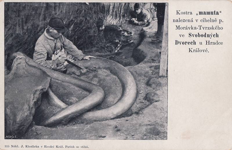 Hradec Králové