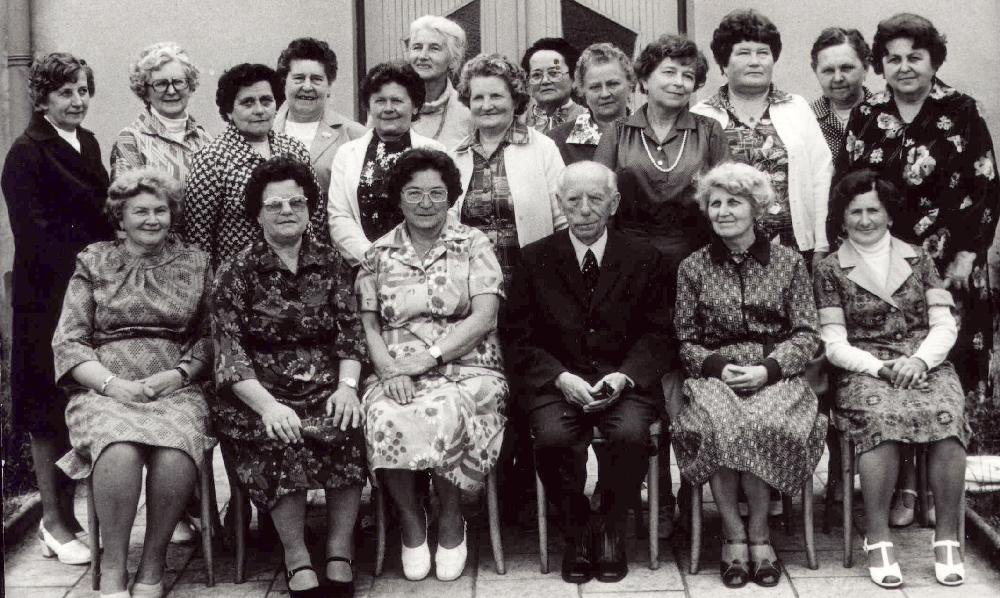 škola