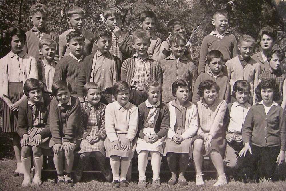 škola
