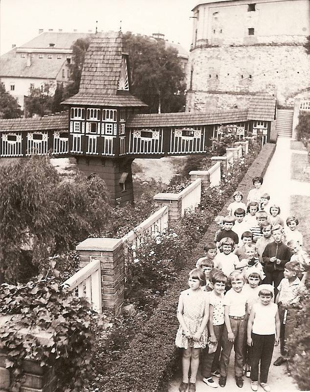 škola