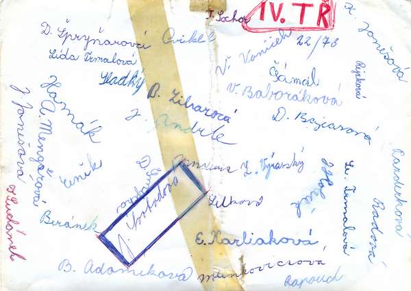 škola