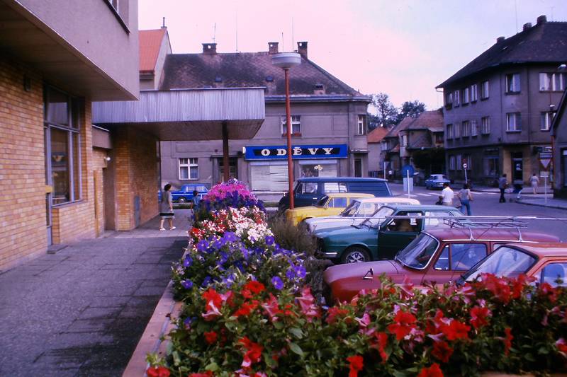 město