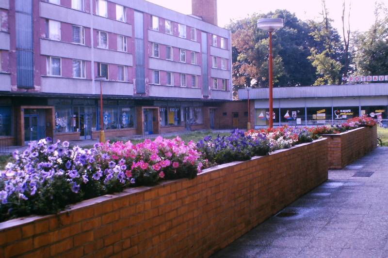 město