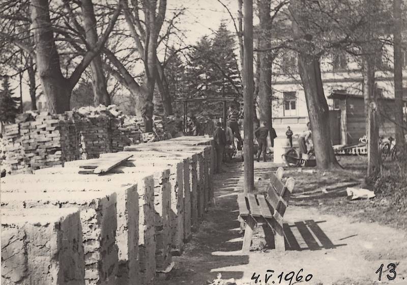 škola