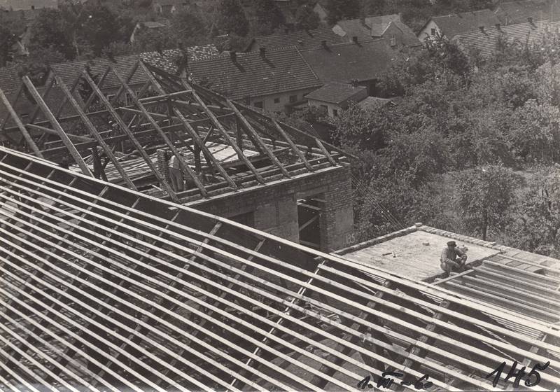škola