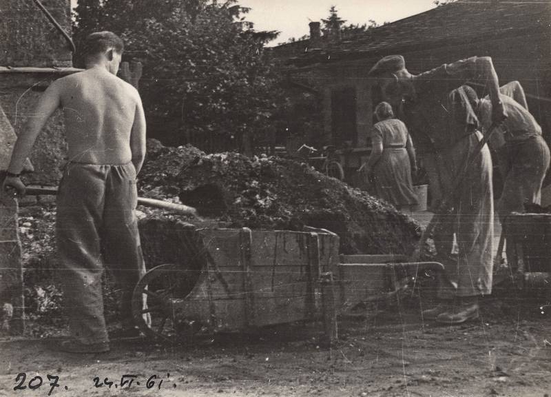 škola