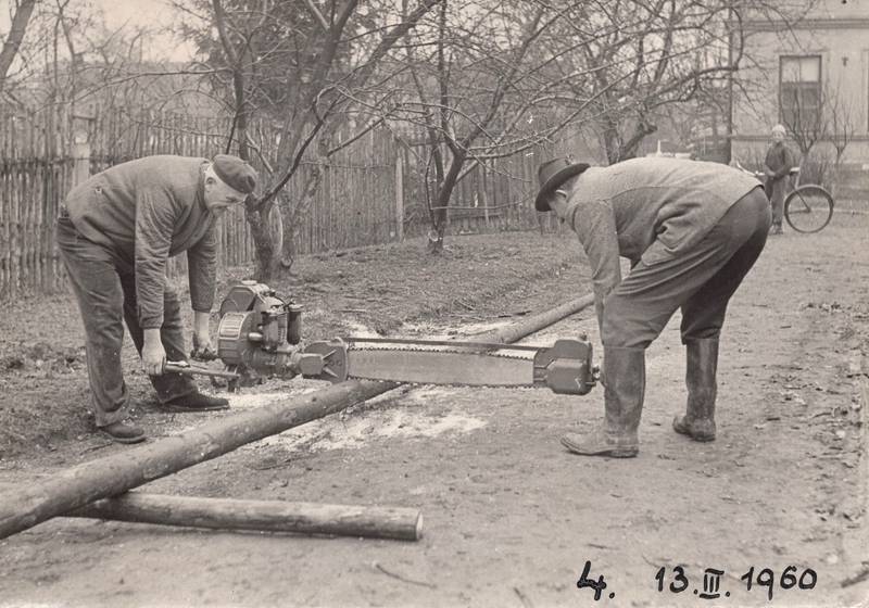škola