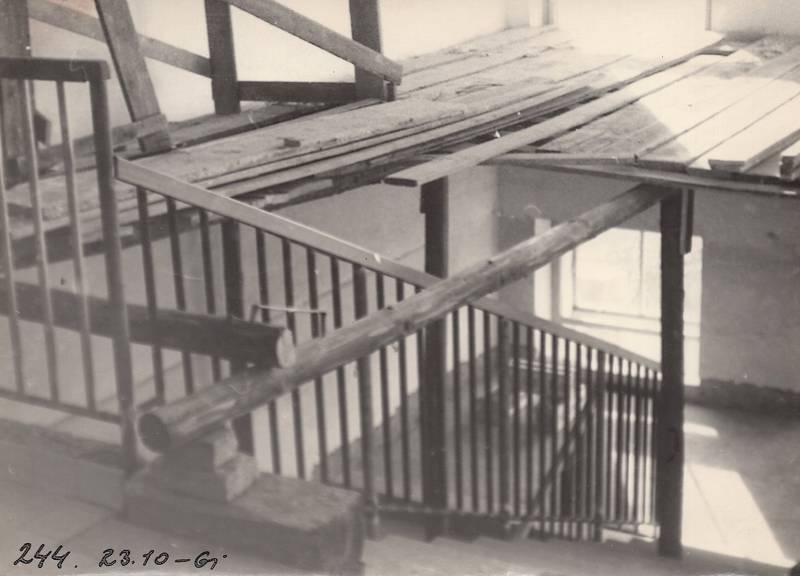 škola