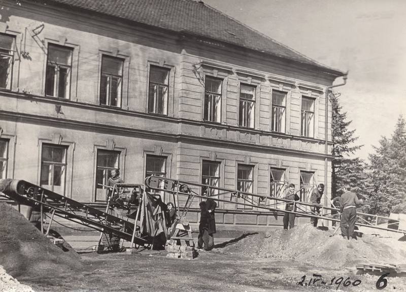 škola