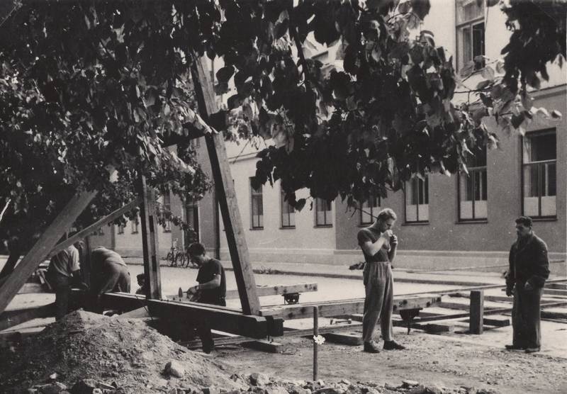 škola