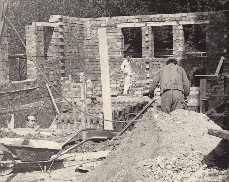 škola