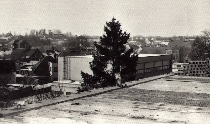škola