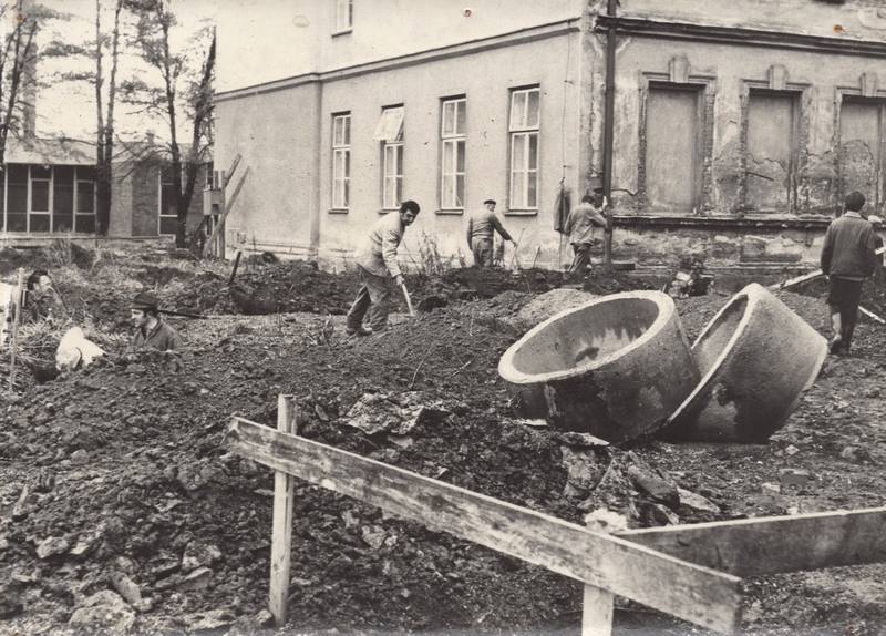 škola