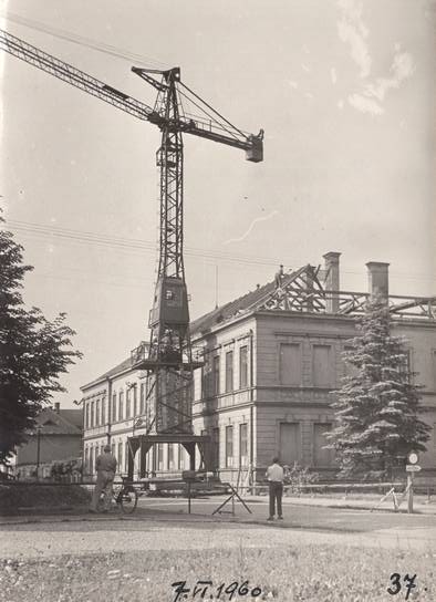 škola