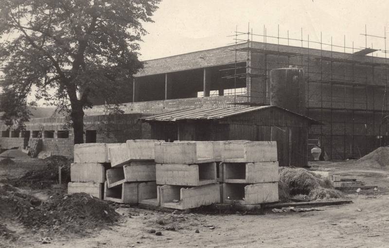 škola
