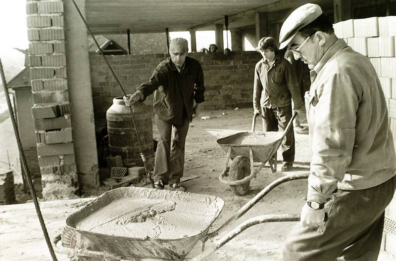 škola