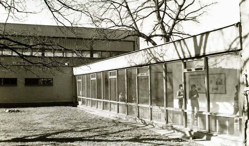 škola