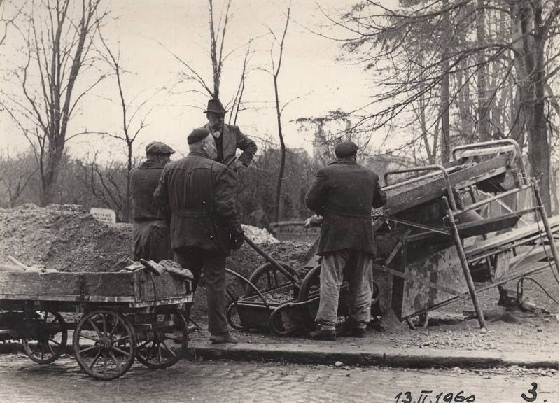 škola