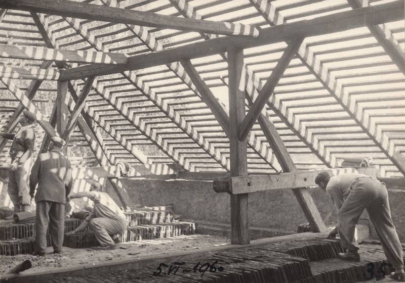 škola