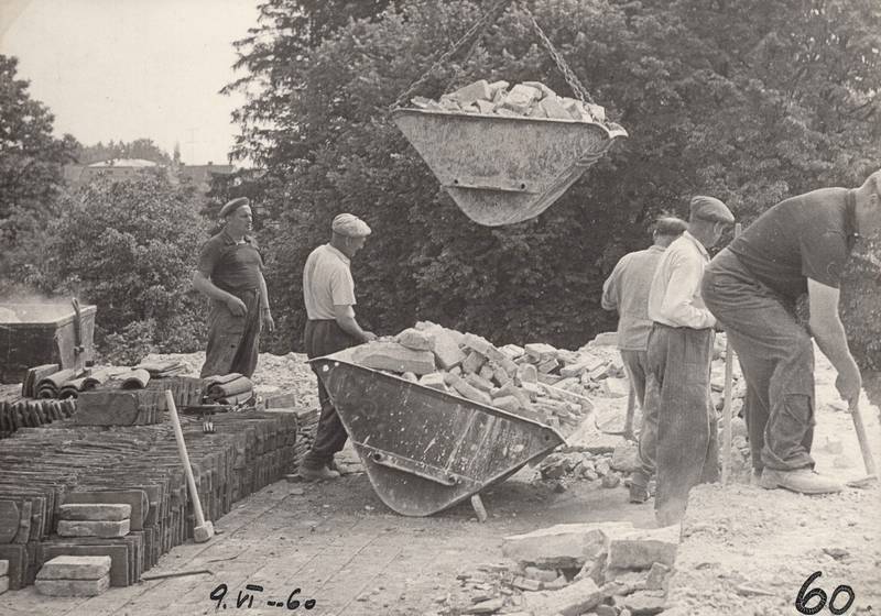 škola