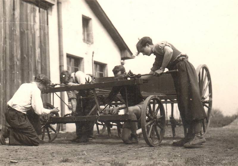 škola