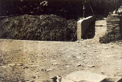 škola