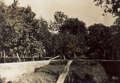 škola