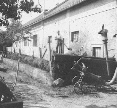 škola