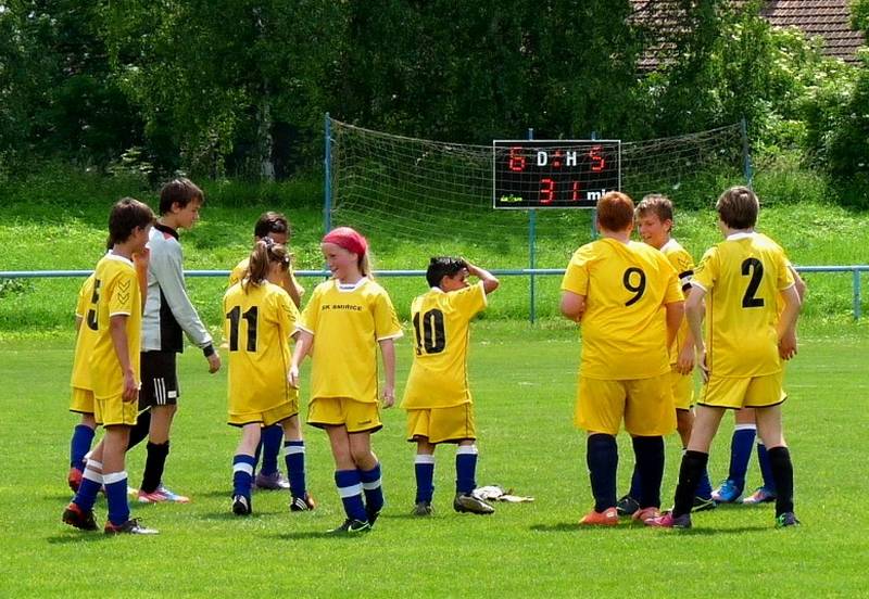 mladší žáci 8.6.2013